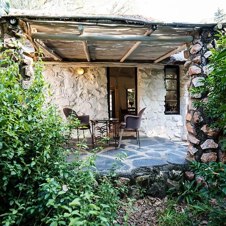 Hakunamatata Lodge & Health Spa/ Wedding & Conference Venue Muldersdrift Luaran gambar