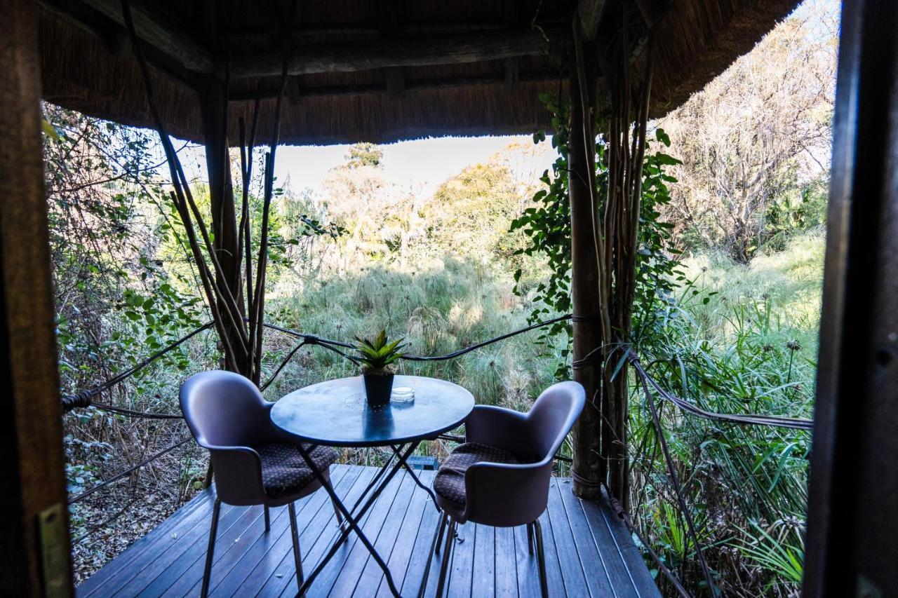 Hakunamatata Lodge & Health Spa/ Wedding & Conference Venue Muldersdrift Luaran gambar